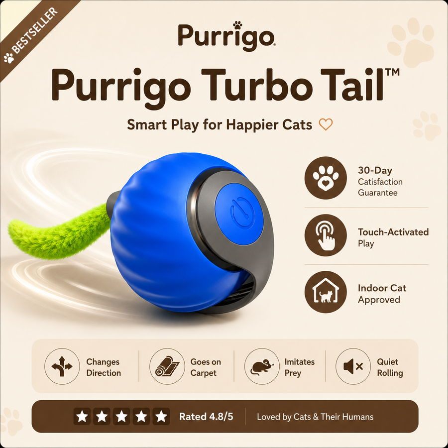 Purrigo Turbo Tail™ | Interactive Rolling Cat Toy