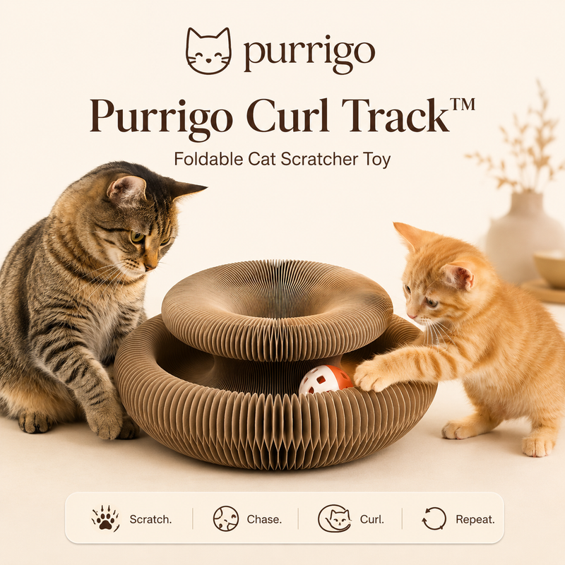 Purrigo Curl Track hero