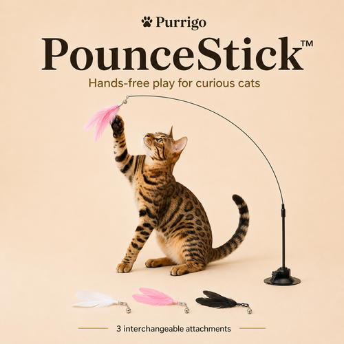 Purrigo PounceStick hero
