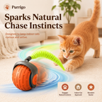 Purrigo Turbo Tail - cat chasing toy