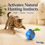 Cat playing with Purrigo Turbo Tail blue