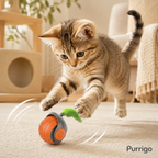 Kitten playing with Purrigo Turbo Tail orange