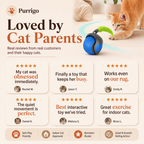 Purrigo Turbo Tail - lifestyle photo